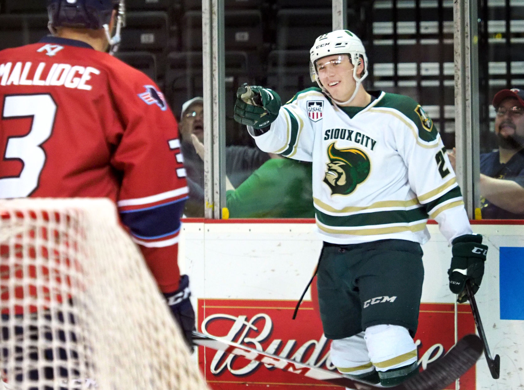Central Illinois Flying Aces at Musketeers hockey